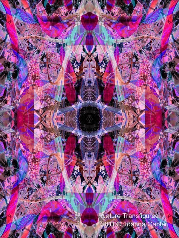 Flowers — view this gallery