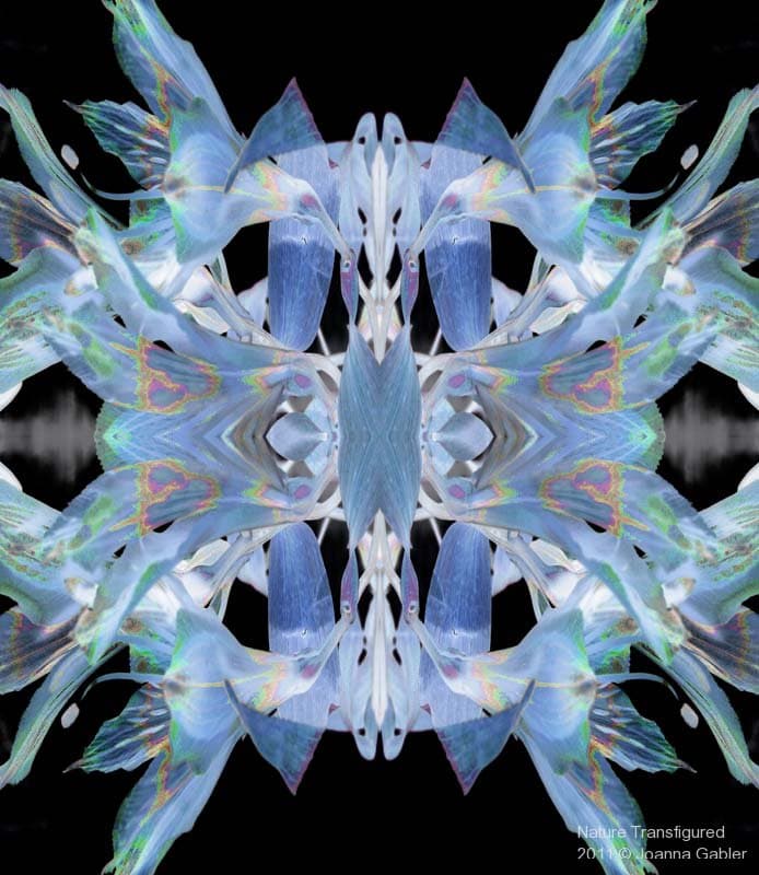 Bluea 1