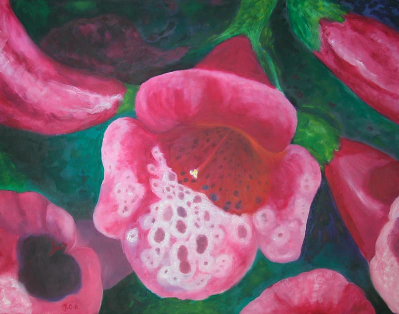 Foxglove