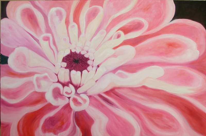 Zinnia13
