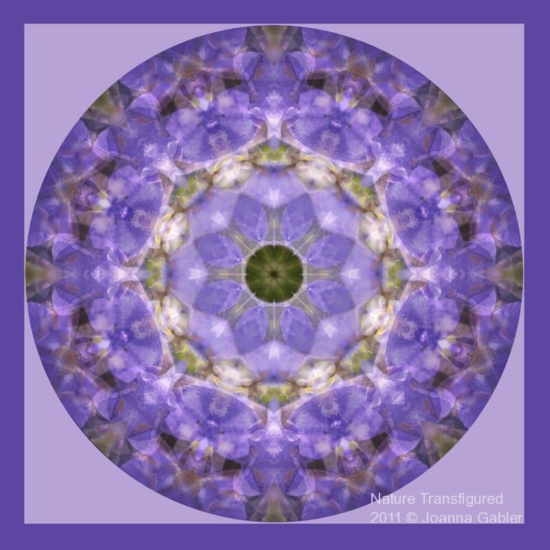 Iris Mandala 1