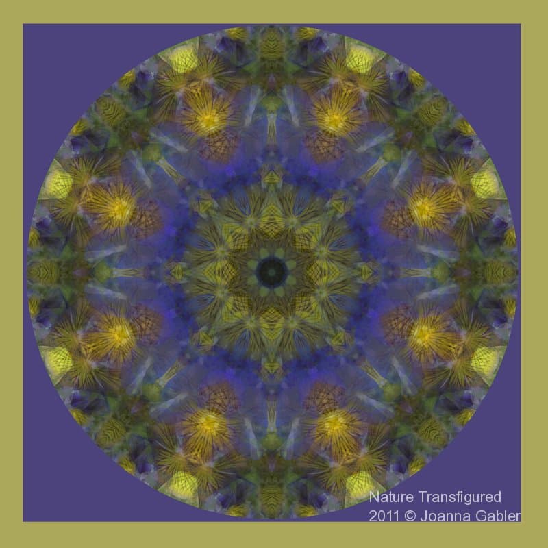 Pansy Mandala 2