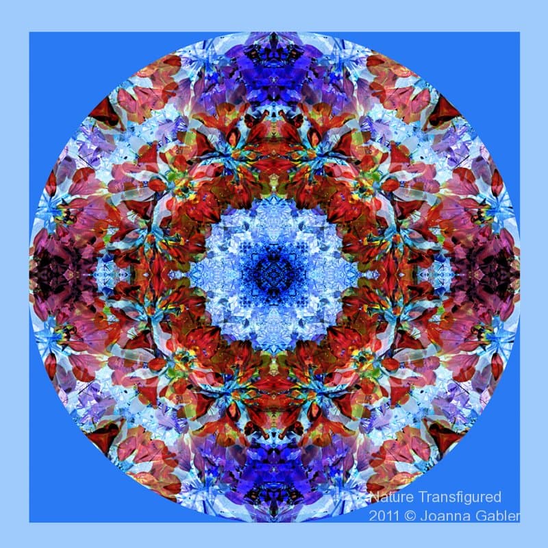 Rhododendron Mandala 2 2