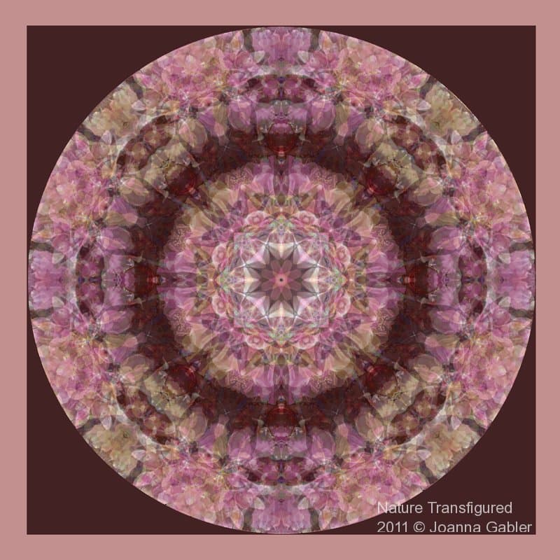Rhododendron Mandala 7