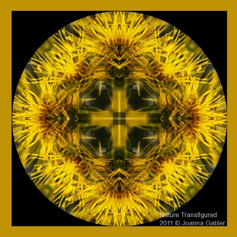 Yellow Flower Mandala 1 I
