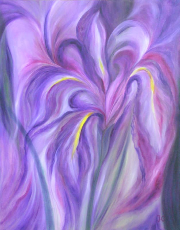Tall Iris 0088