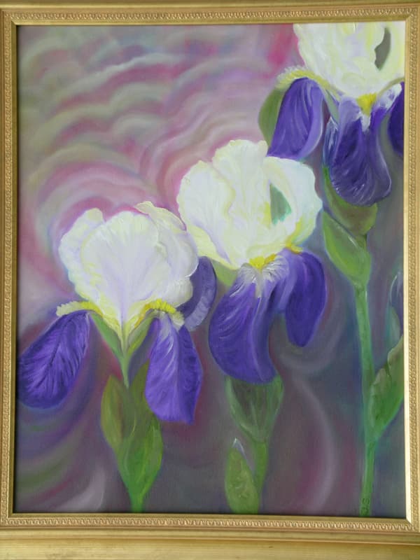 Three Irises 0057