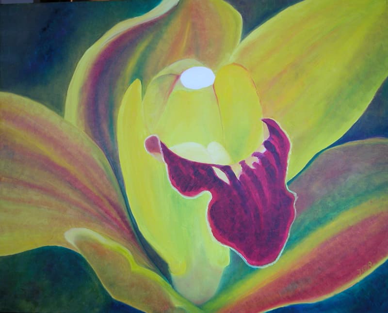 Yellow Orchid 1